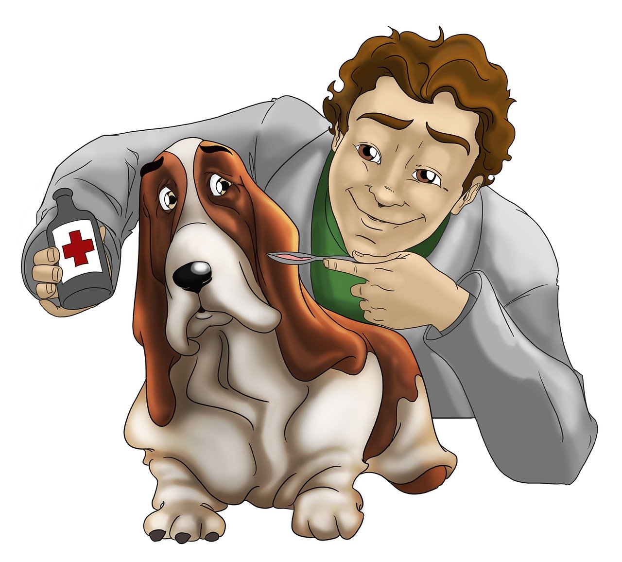 Cosa si studia per diventare assistente veterinario?