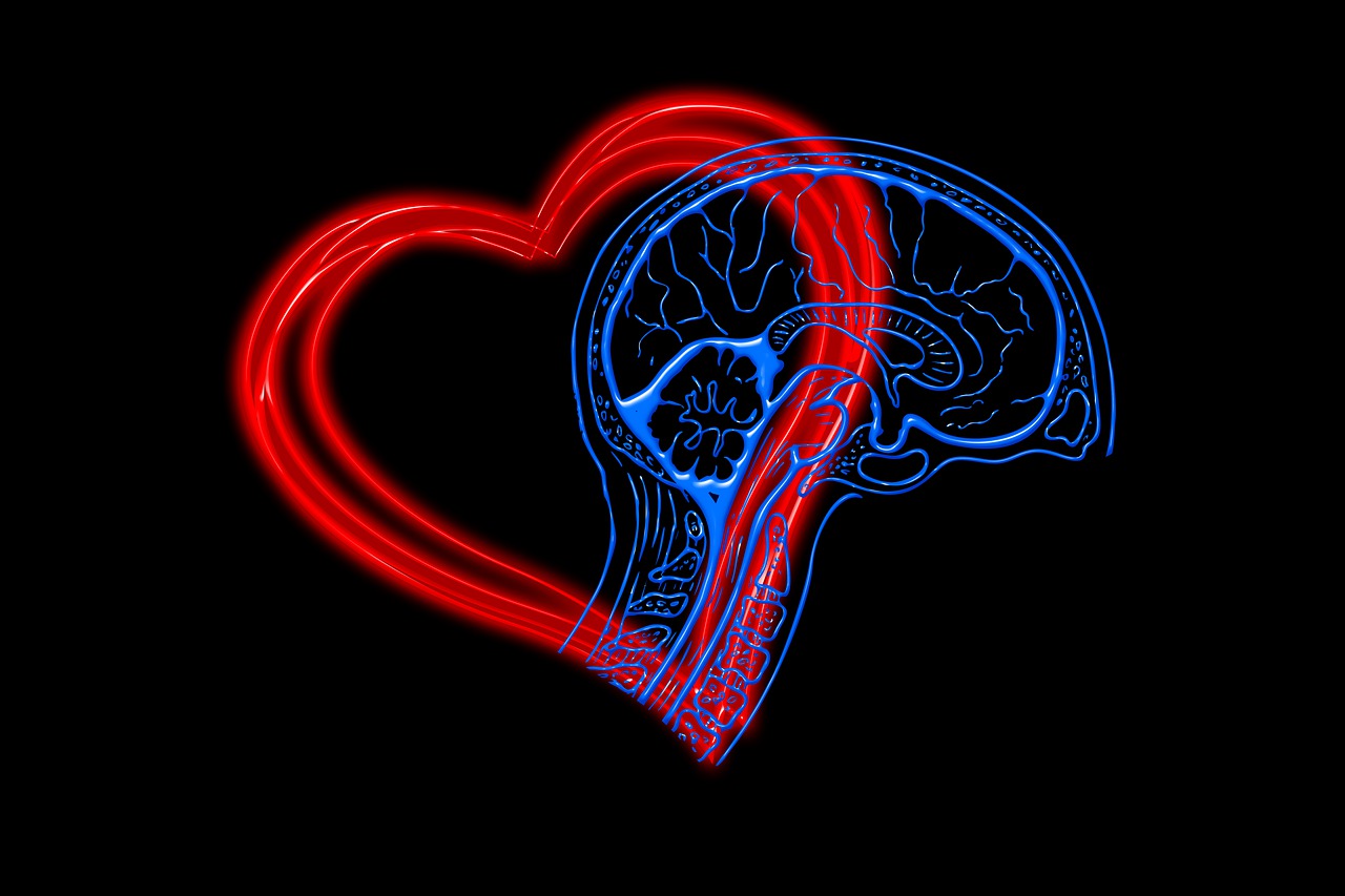 Come misurare l intelligenza emotiva?