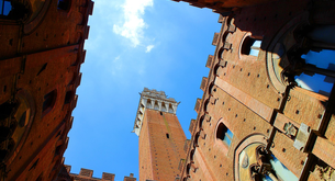 Quanto ha guadagnato il vincitore del Palio di Siena?