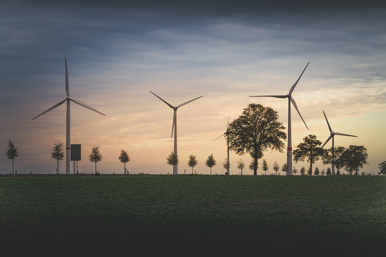 Cosa fare dopo la triennale in Ingegneria Ambientale?