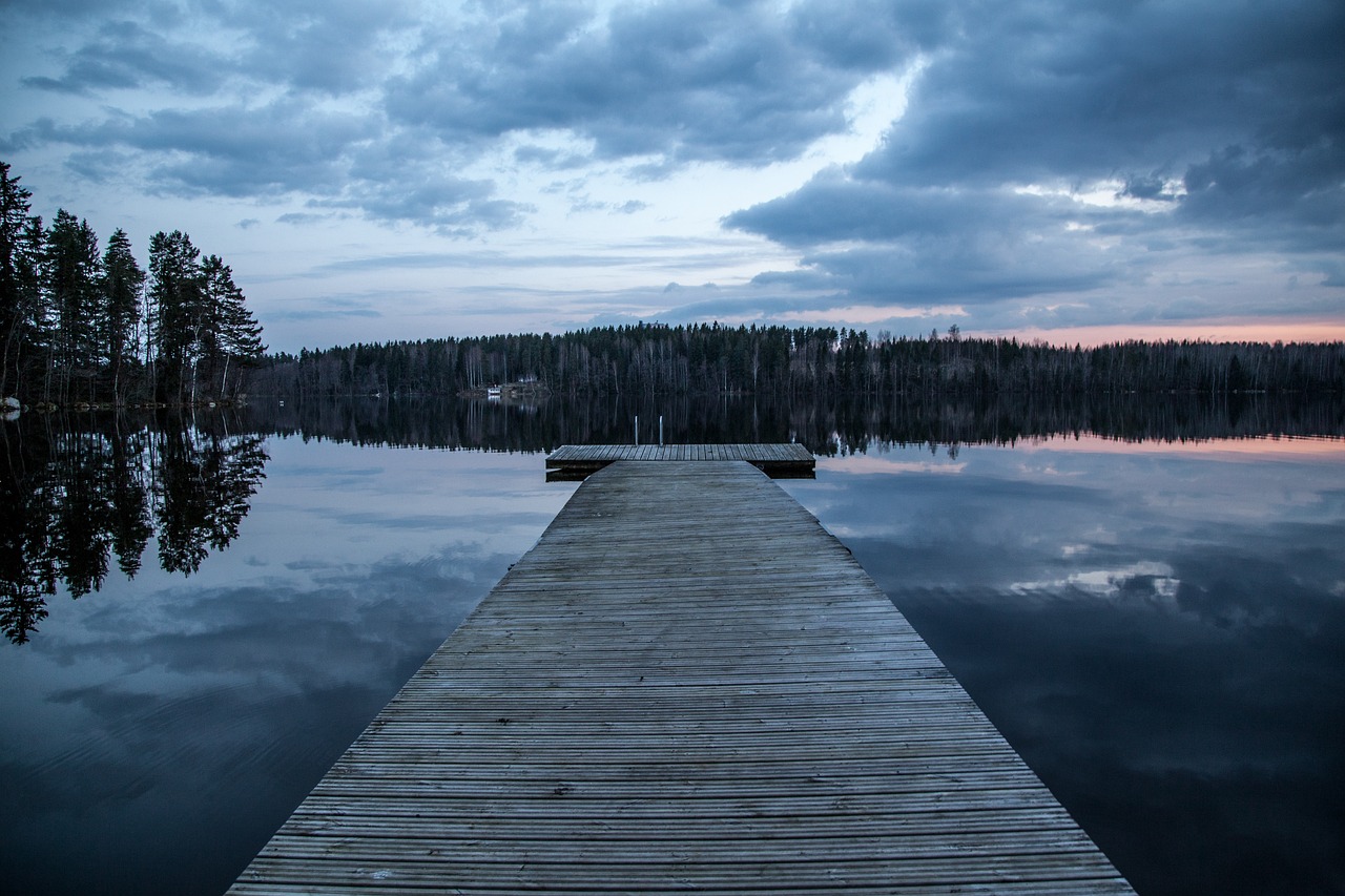 Qual è il settore più sviluppato in Finlandia?