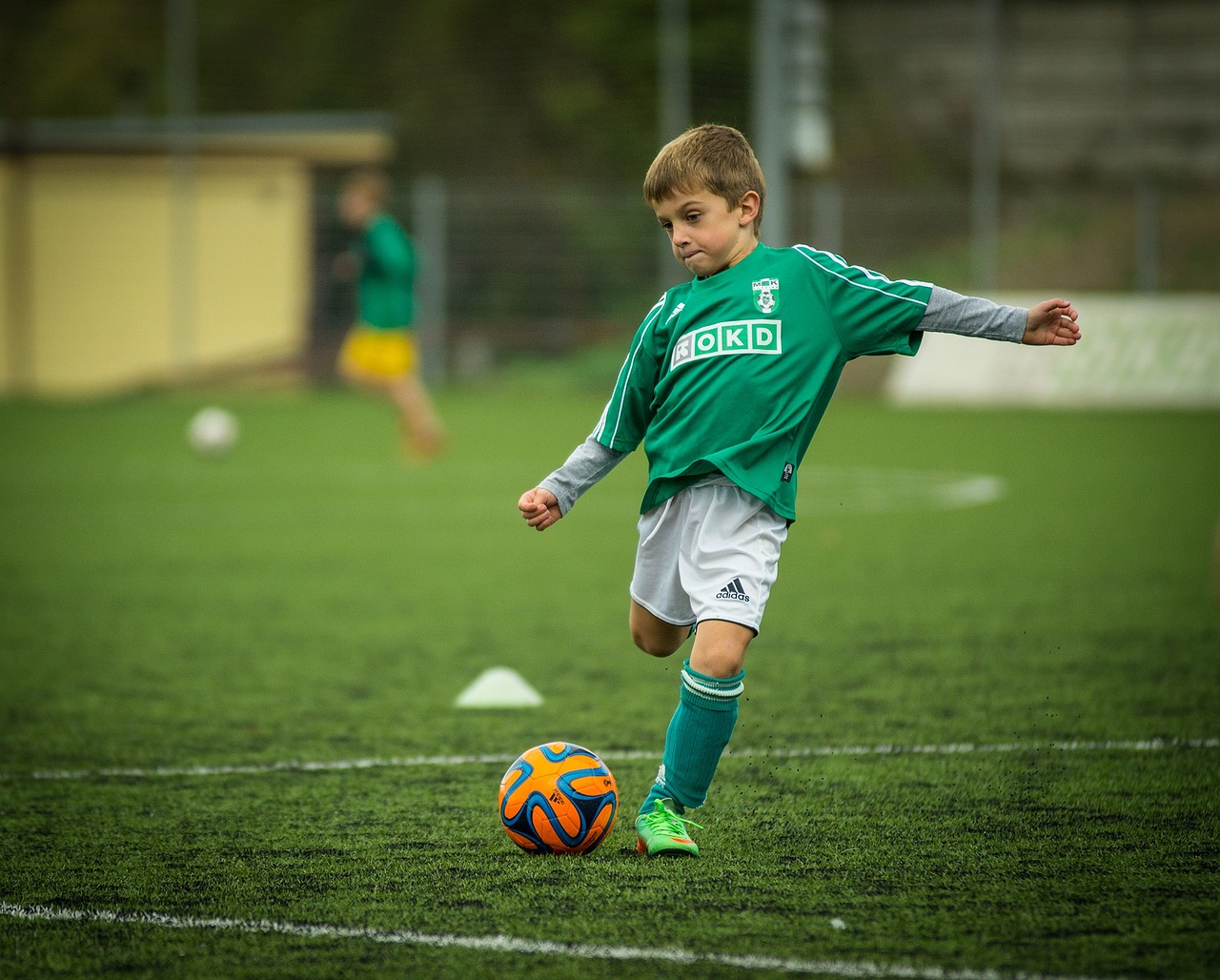 Quali calciatori sono diplomati?