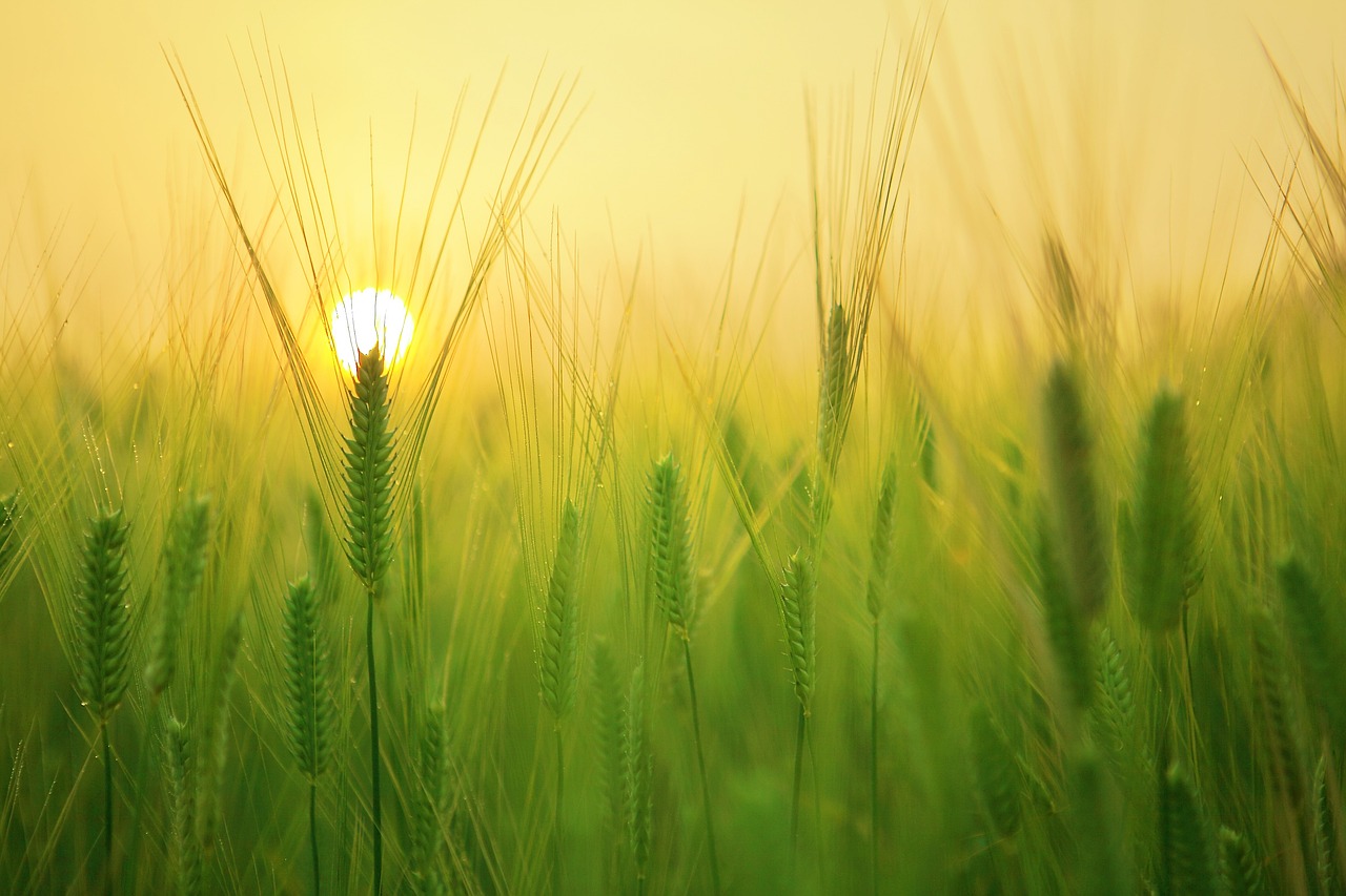 Quali sono i lavori usuranti in agricoltura?