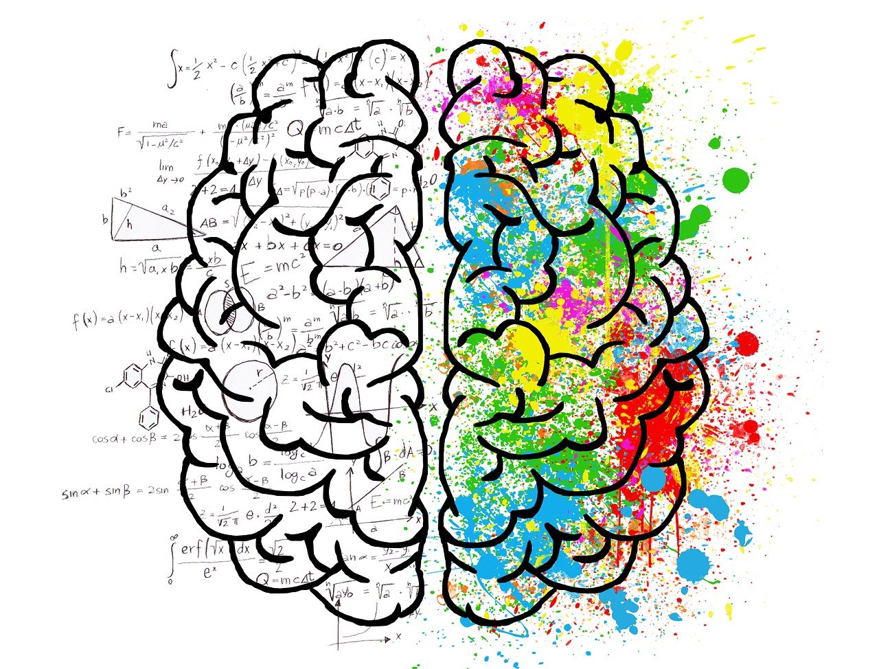 Che differenza c'è tra sociologo e psicologo?