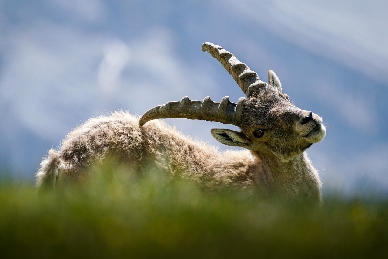 Come fare a farsi rispettare dagli altri?