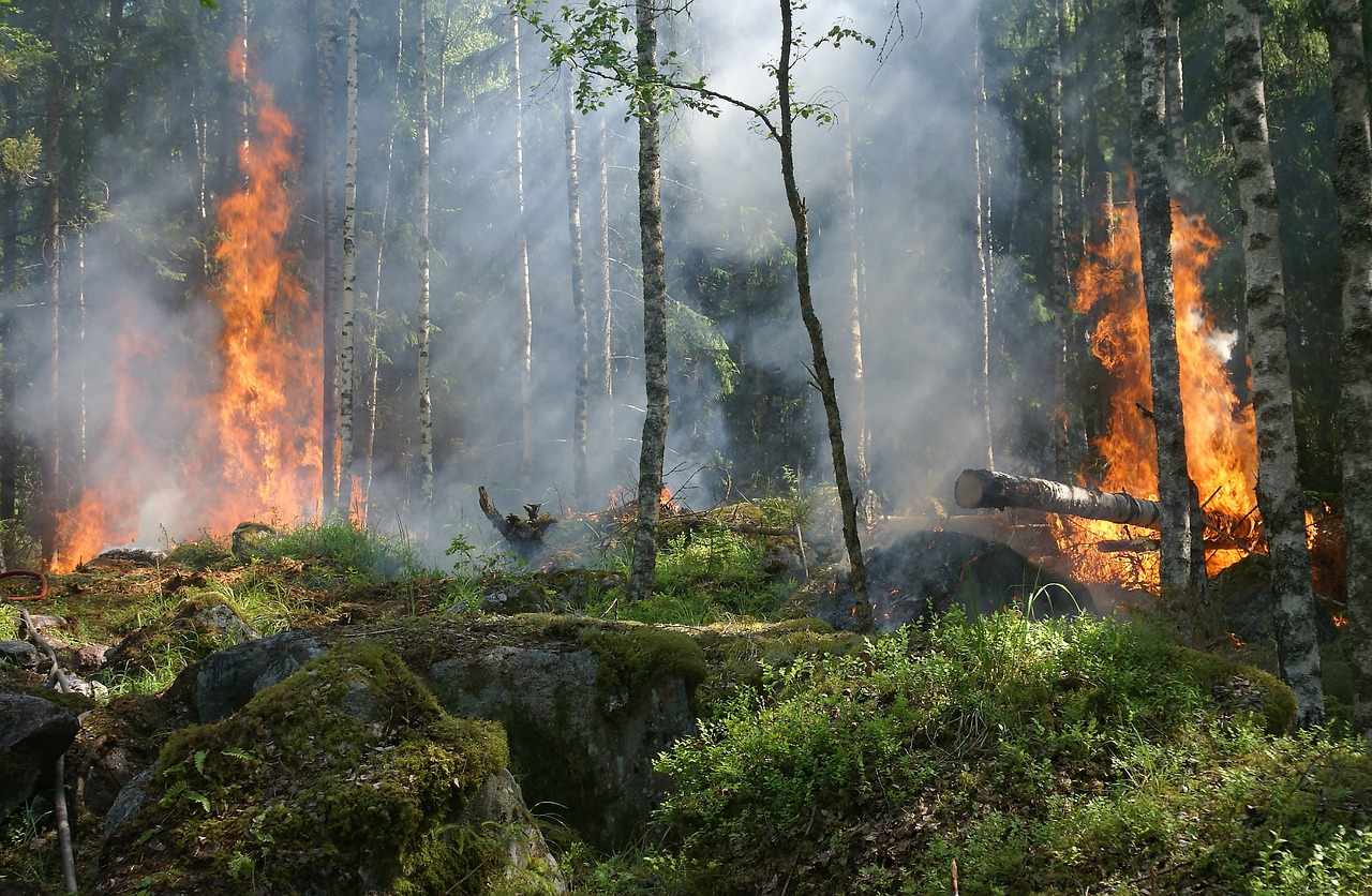 Cosa serve per insegnare in Svezia?