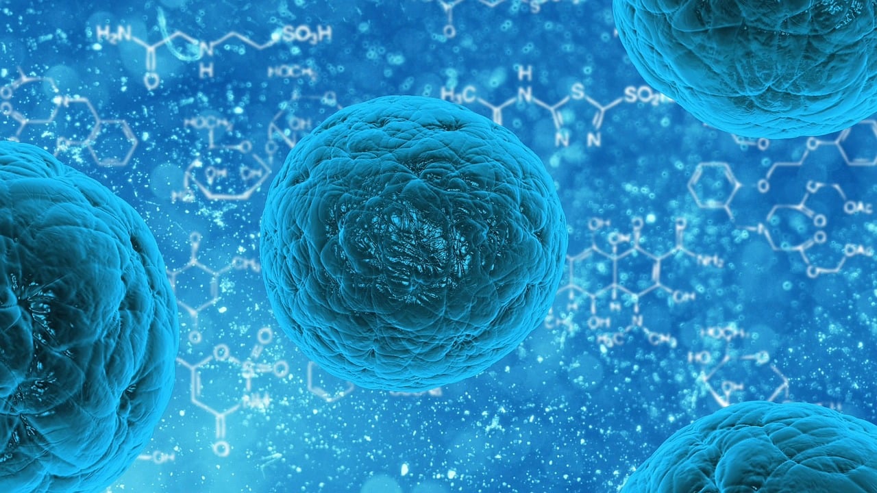 Cosa succede se supero 6 mesi di malattia?