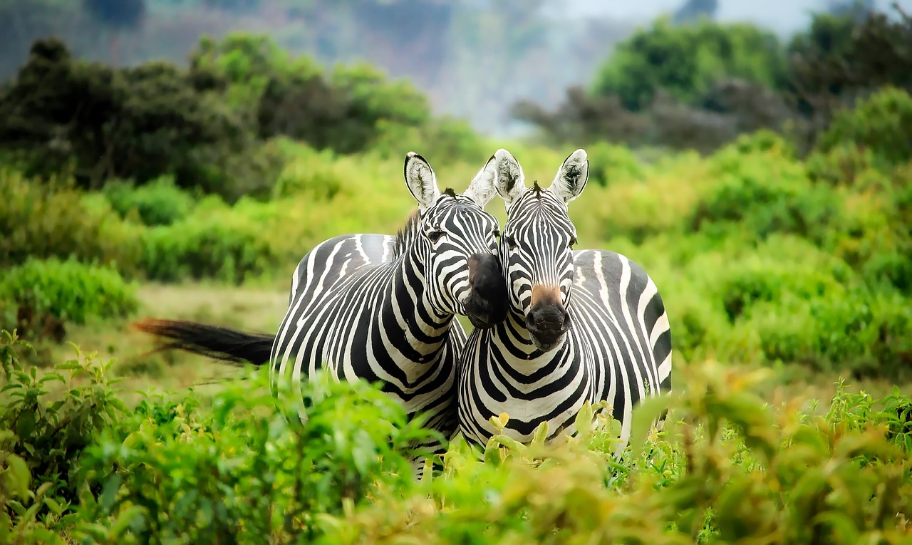 Qual è lo stipendio medio in Kenya?