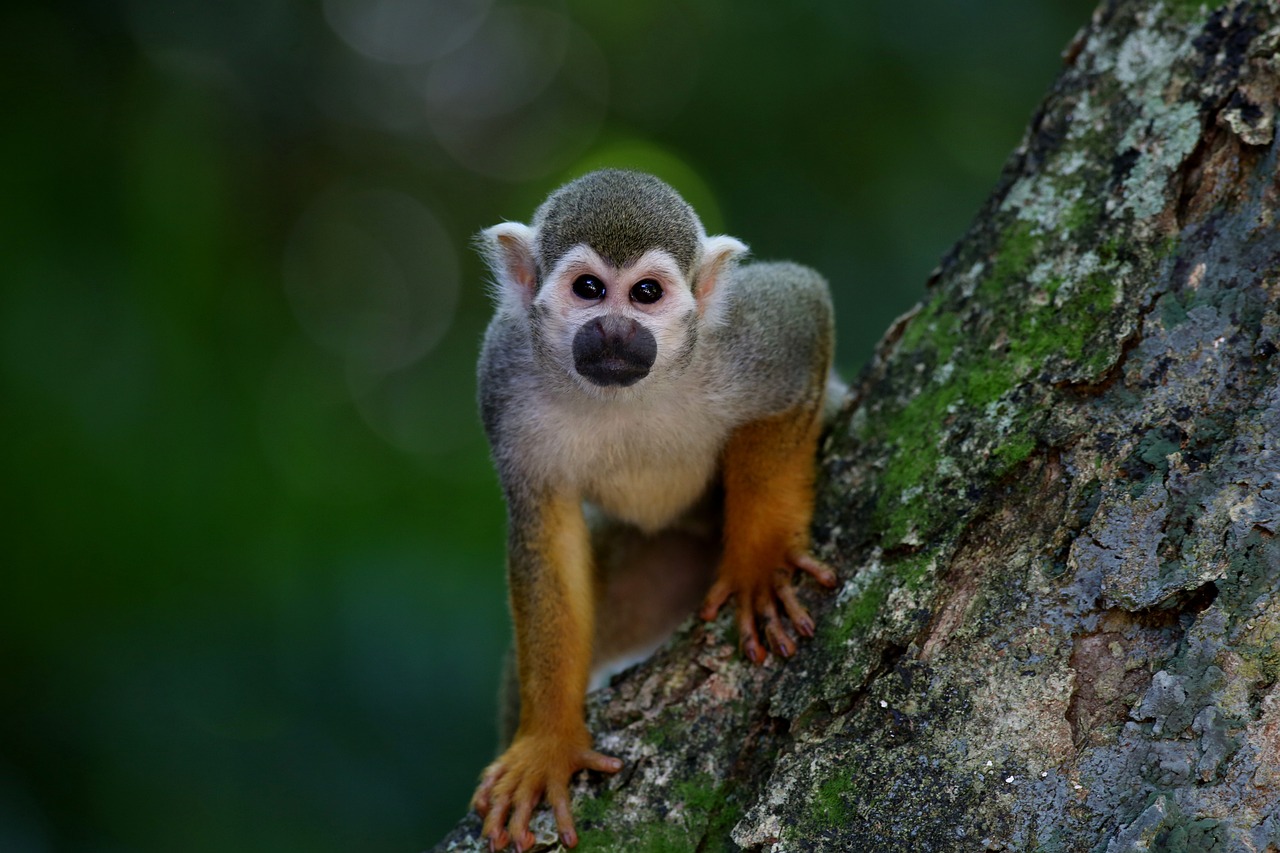 Quanto guadagna una guardia ecologica?